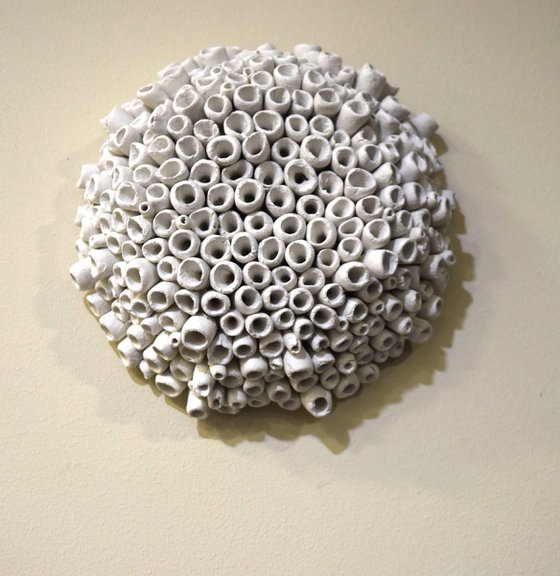 Coral - 3D Coral Reef Wall Sculpture