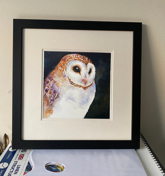 Tammy_ Barn Owl