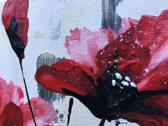 Poppies on a square little canvas