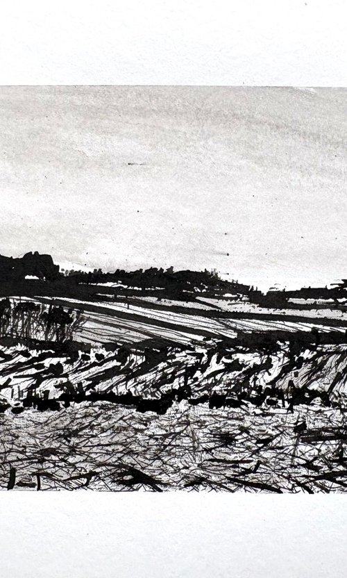 Pennsylvania Fields 2 by Steve Potts