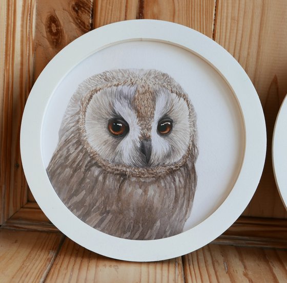 Framed owl. Part 1.