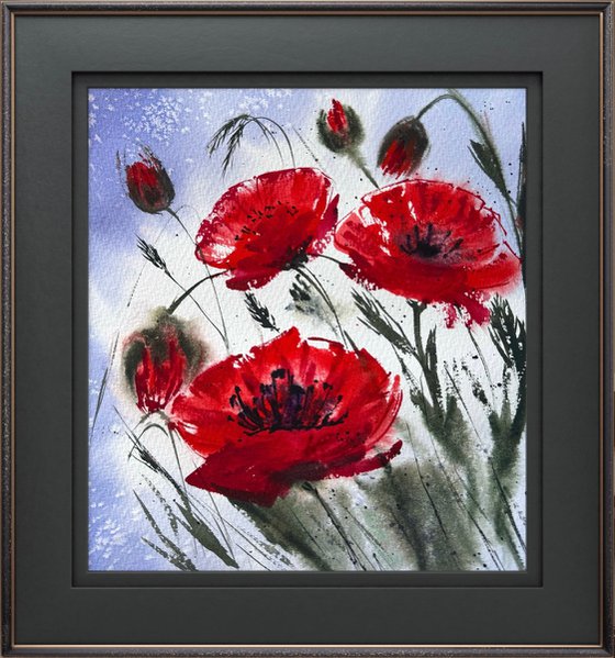 Red Wild Poppies