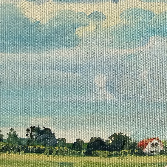 Summer Pasture