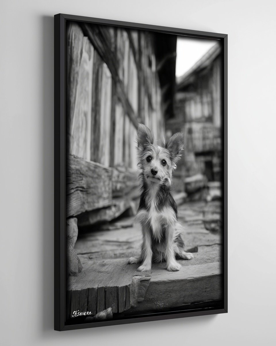 Photorealistic Animal Photograph By Ksavera, 25 X 37", Dog In Old Village B0805G, Original Artwork