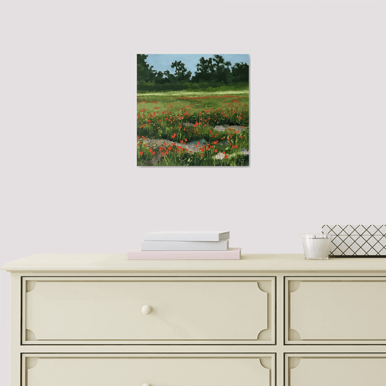 Poppy Field