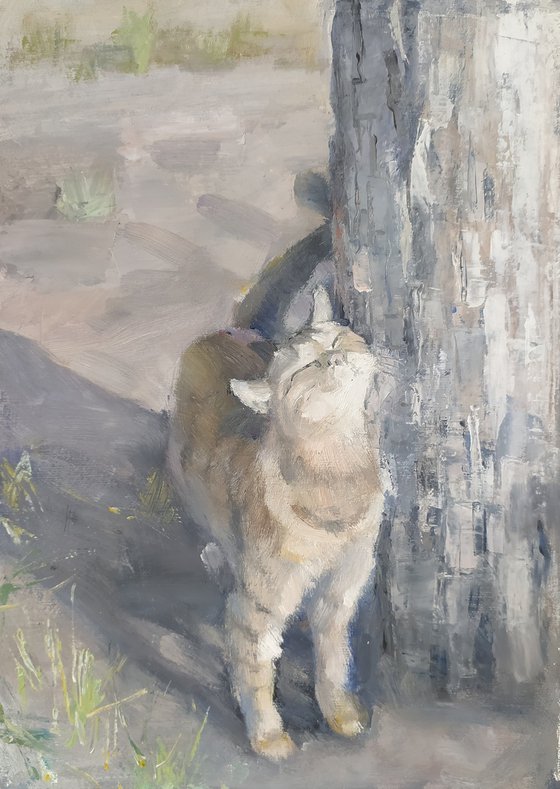 Cat
