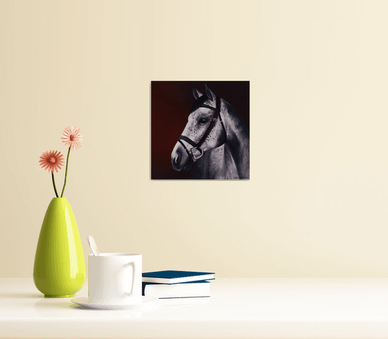 Horse Portrait 114
