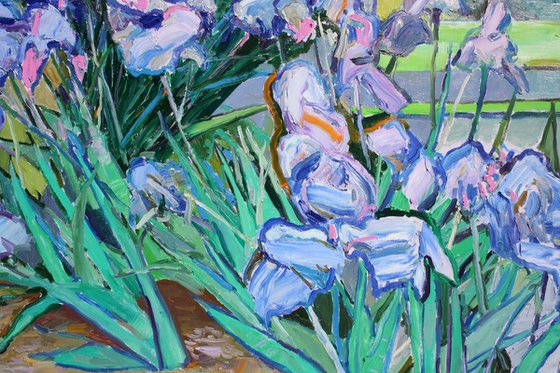 " Irises "