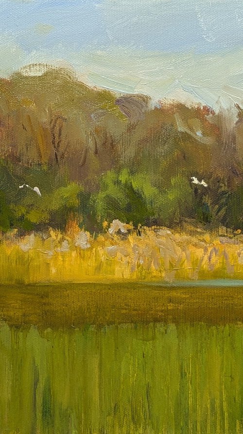 Against the winds by Olga Samar