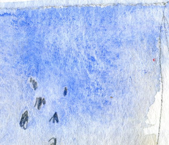 Dance of the Lapwings