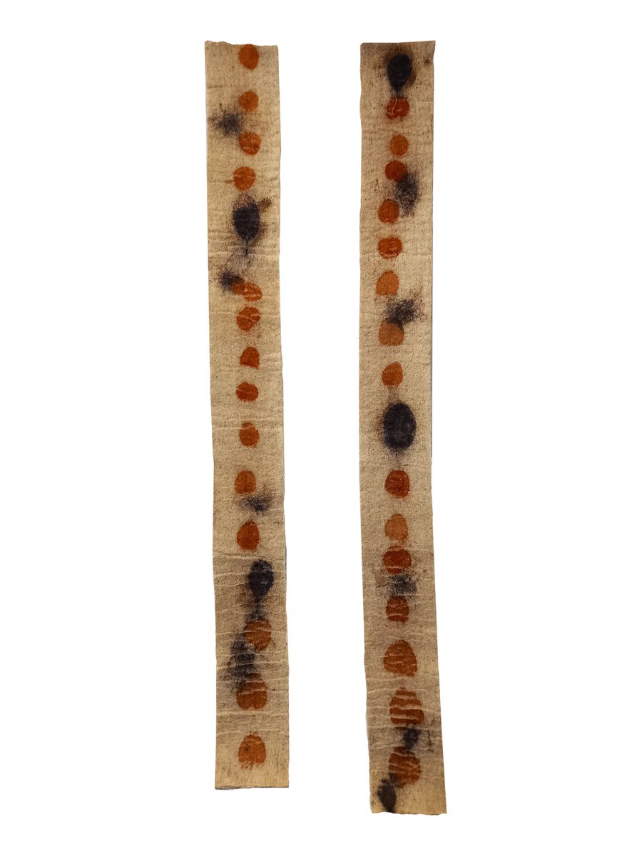 Impressionistic Botanical Relief By Irina Goleva, 8 X 41, Elements Ix, Original Artwork