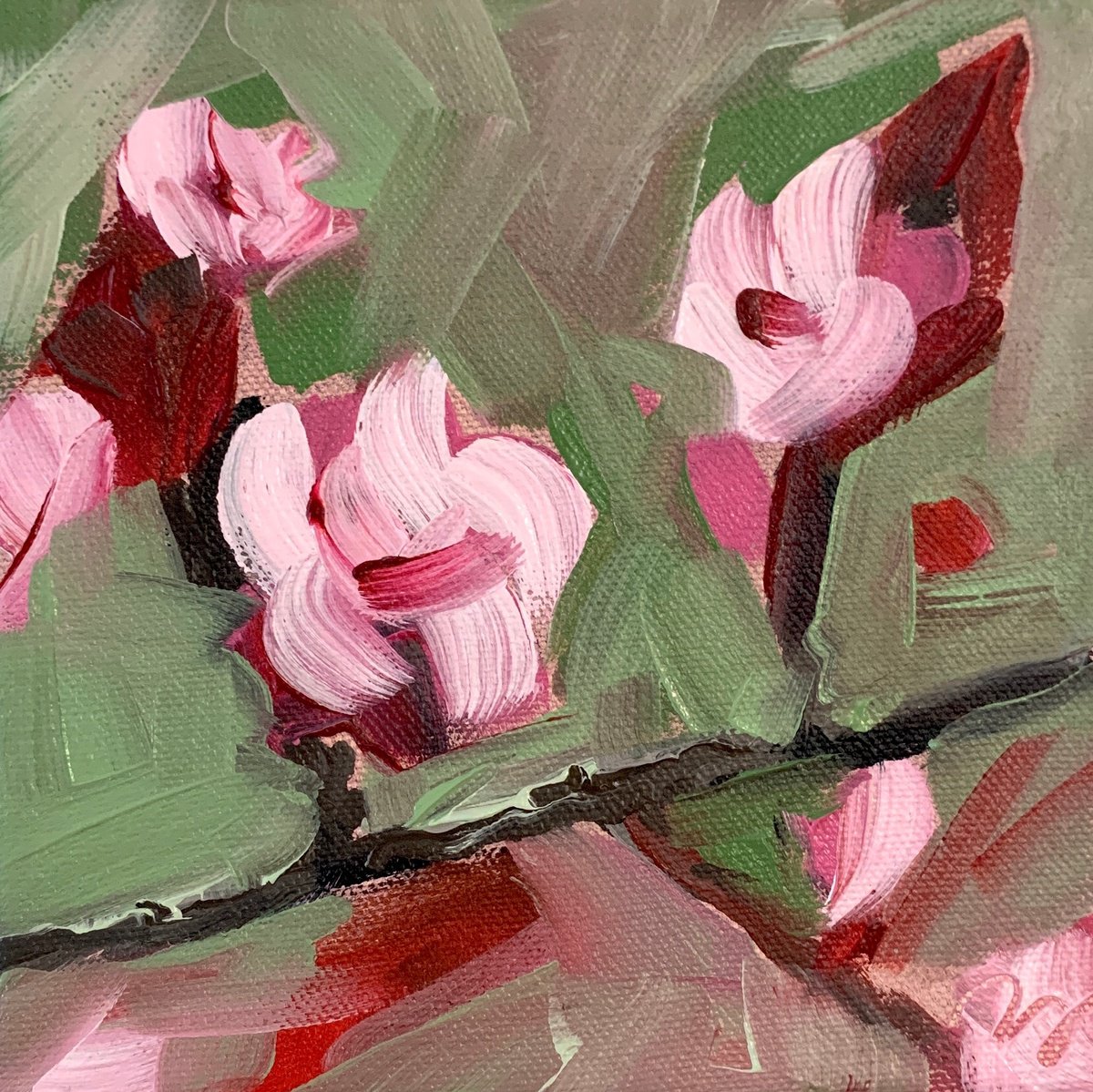 Cherry Blossoms By Tammy Silbermann, 6 X 6, Artwork For Sale On Artfinder