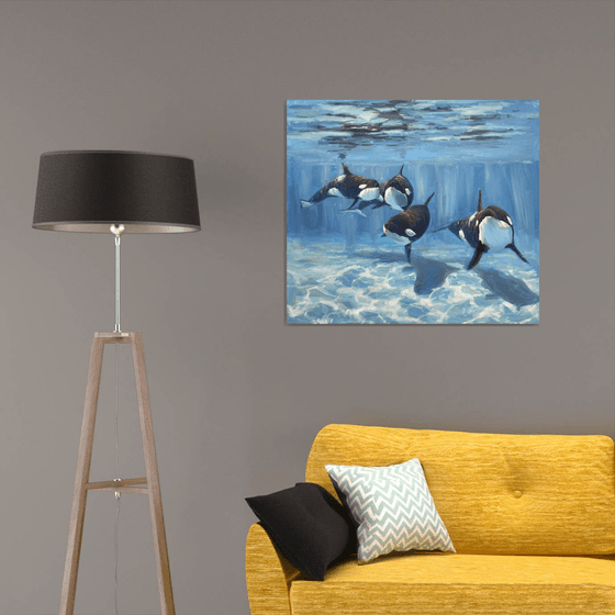 "A pod of Killer Whale"