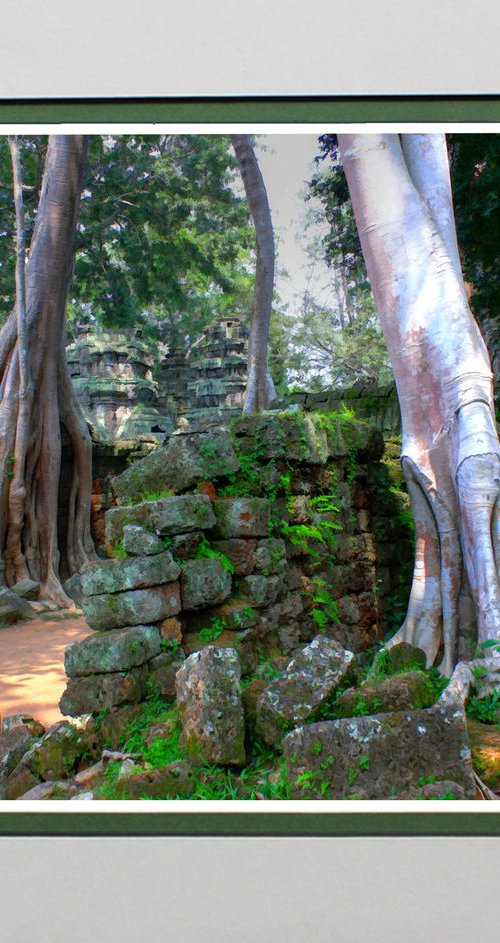 Ta Prohm 2, Cambodia. by Robin Clarke