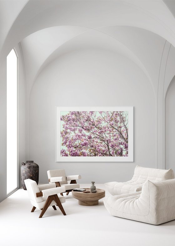 Blossom IV