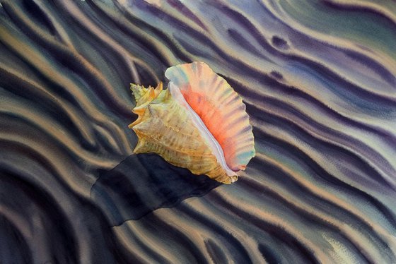 Seashell on the Beach - Sea Shell watercolor painting - Conch Shell - Beach – Summer – Vacation - Shore