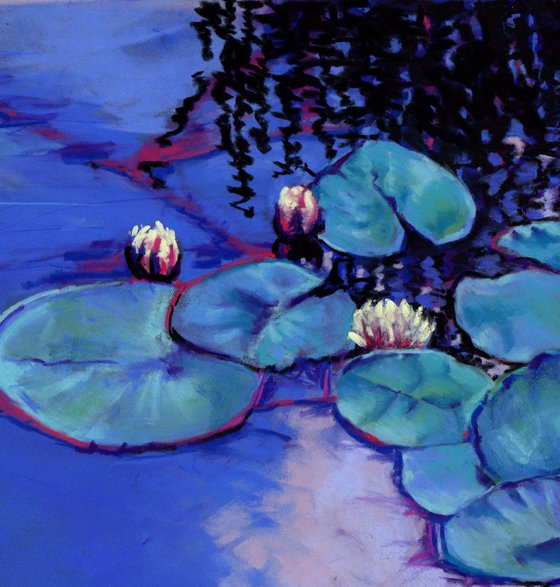 Summer Water Lilies