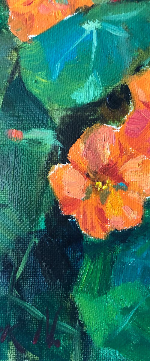 Nasturtium by Nataliia Nosyk