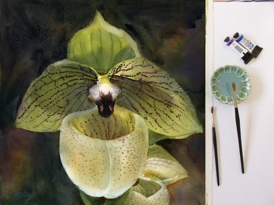 light green ladyslipper orchid
