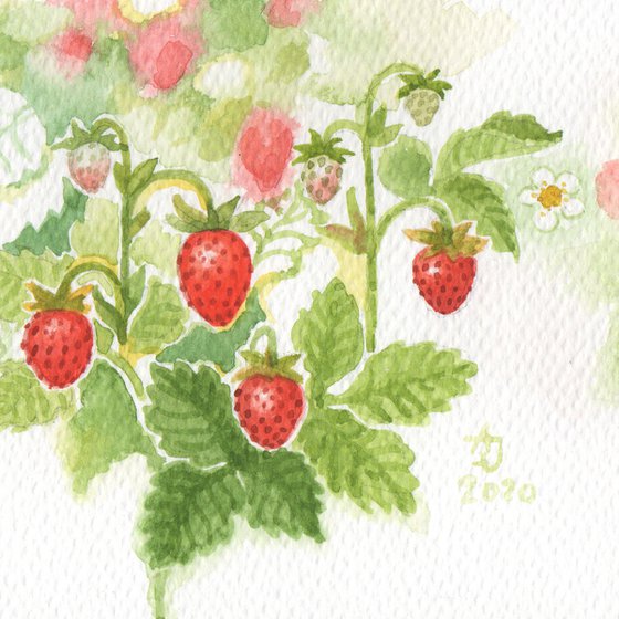 Spring is coming - Wild strawberries