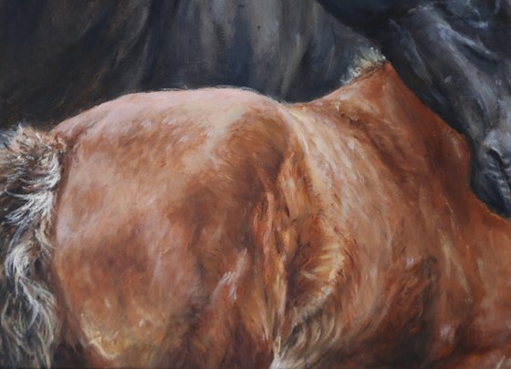 Horse (mare) and foal, equine, equestrian