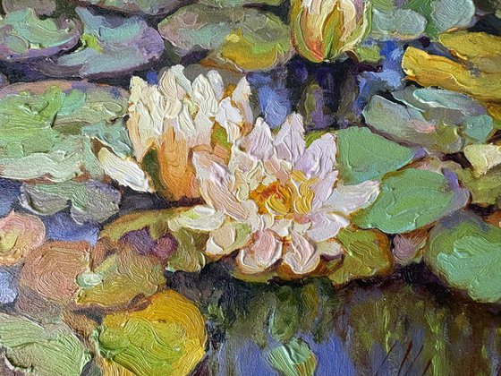 Water Lilies