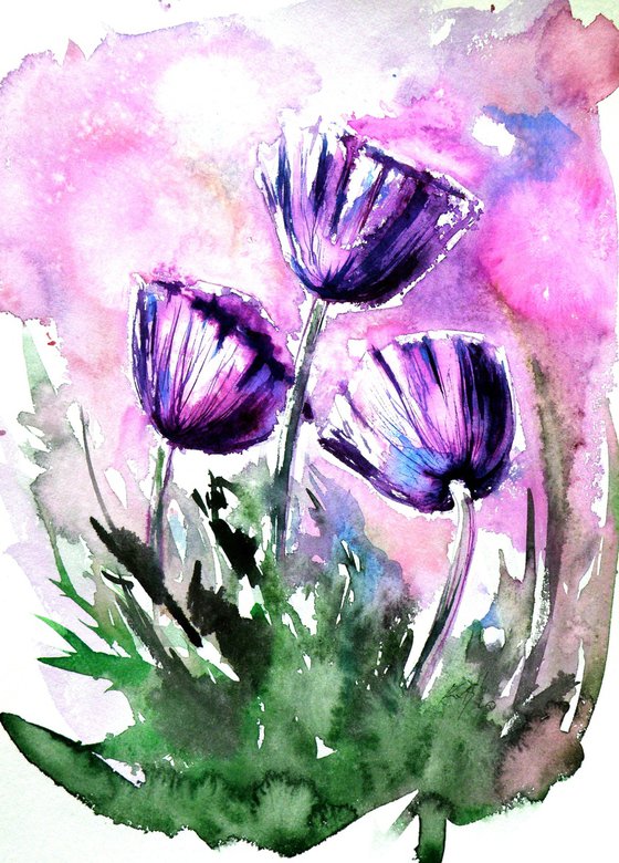 Purple poppies