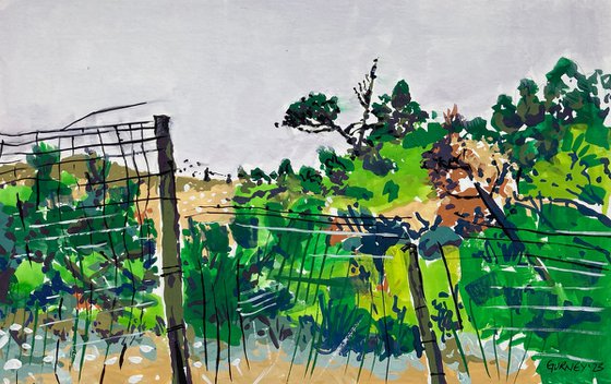 Dunes landscape