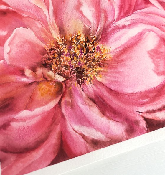 Watercolor peony, small floral painting