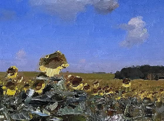 Sunny field