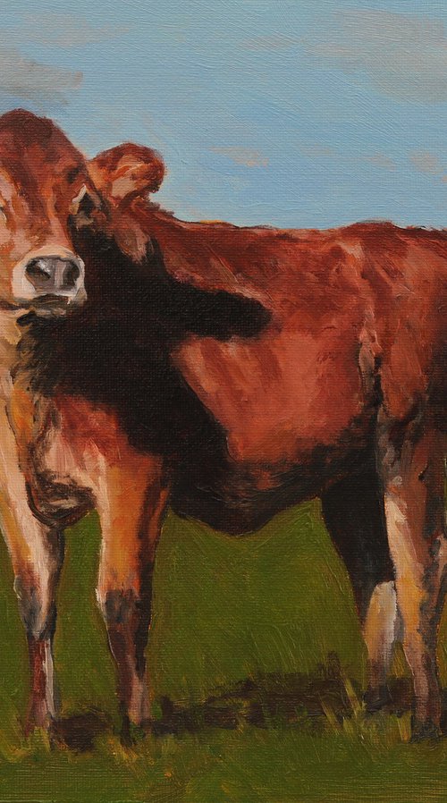 Swiss Evolène Calf by Tom Clay