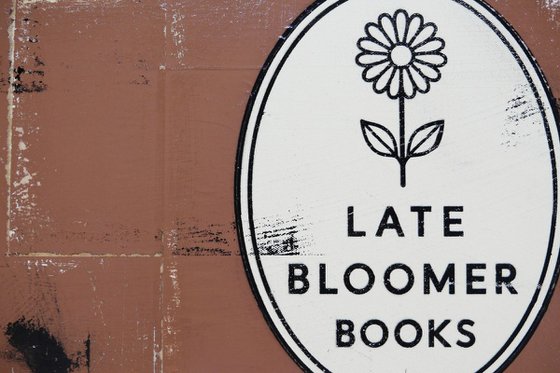 Late Bloomer Mental Health 49