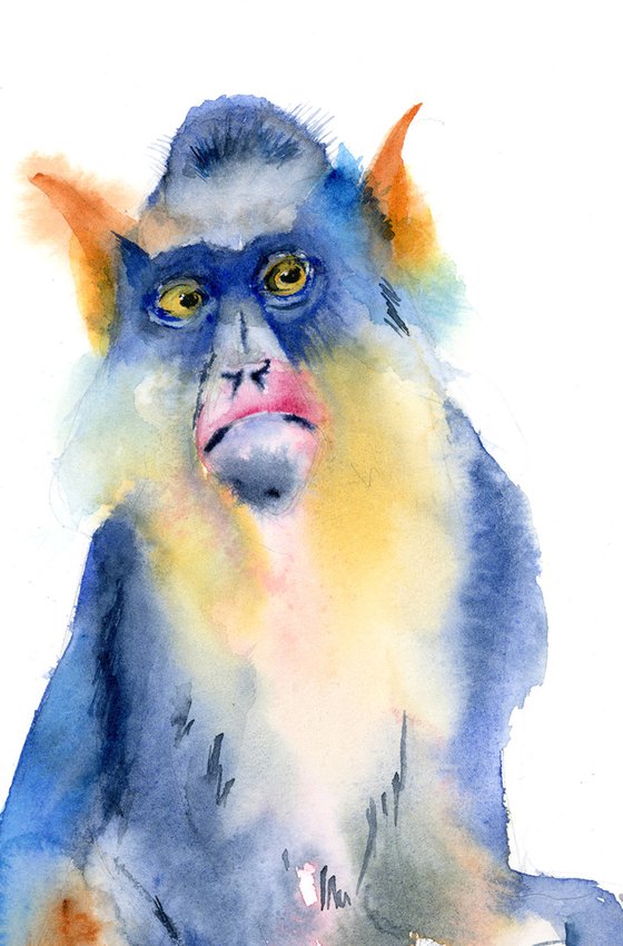 Bright monkey (series Bright color animals 6 of 6)