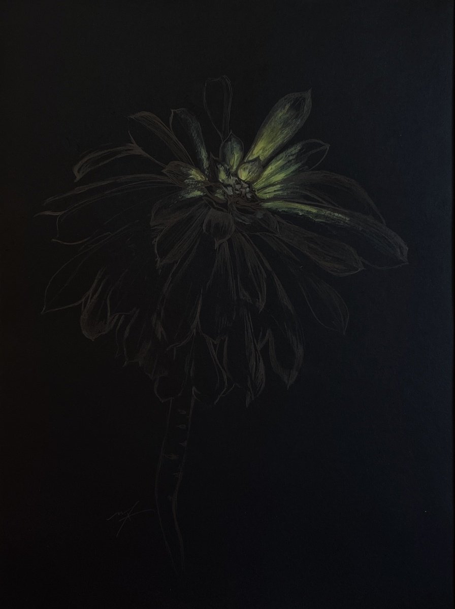 Impressionistic Botanical Drawing By Maxence Ma, 12 X 17", Soft Light, Original Artwork