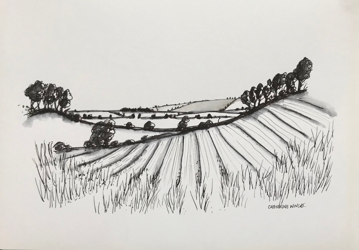 English Landscape, Norfolk- trees hedges and fields. by Catherine Winget