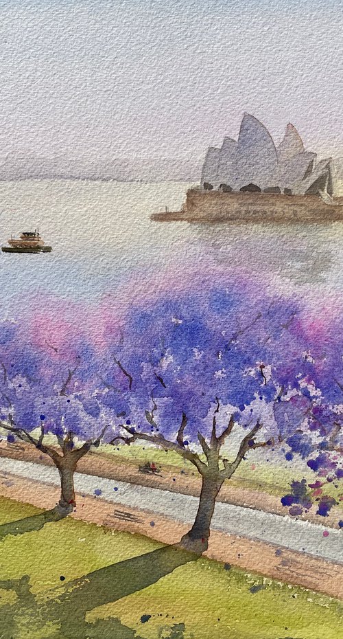 Sydney harbour - opera house with jacaranda by Shelly Du