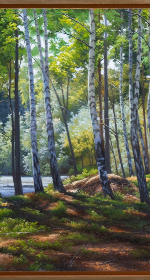 IN BIRCH GROVE by Oleksii Vylusk