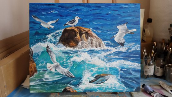 Waves and Seagulls