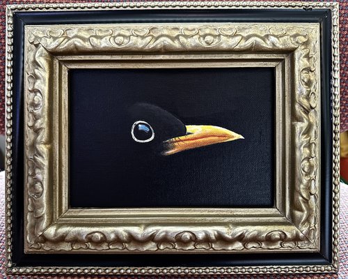 Blackbird by Kaz  Jones