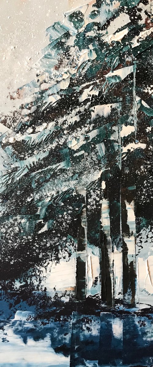 Winter Evergreens by Belinda Reynell