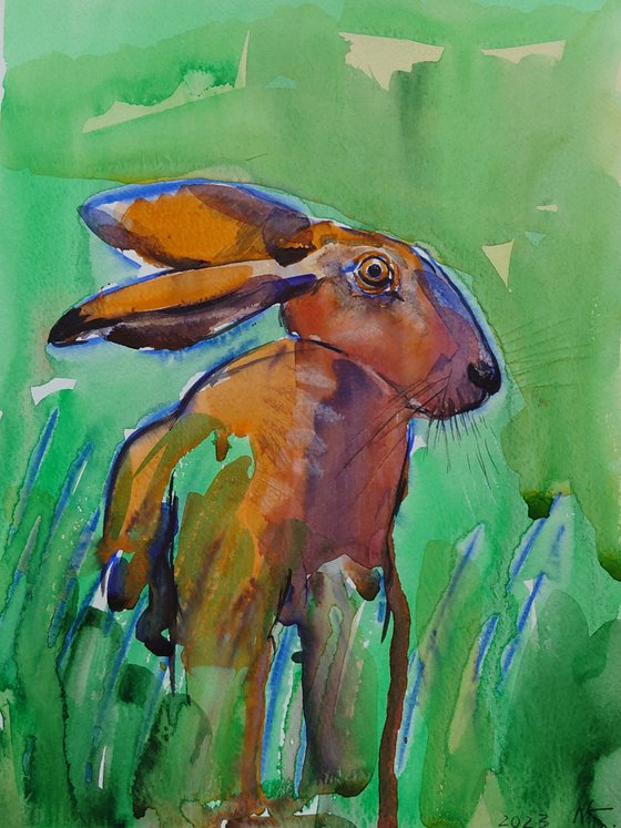 Alert in the Meadow