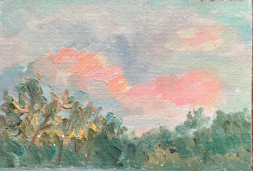 Pink cloud Ukrainian landscape mini oil painting by Roman Sergienko