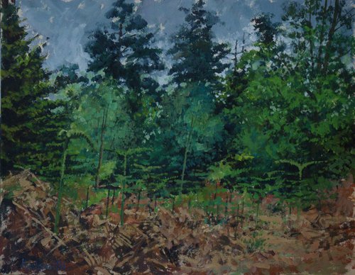 New Forest Brackens by Glenn Ibbitson
