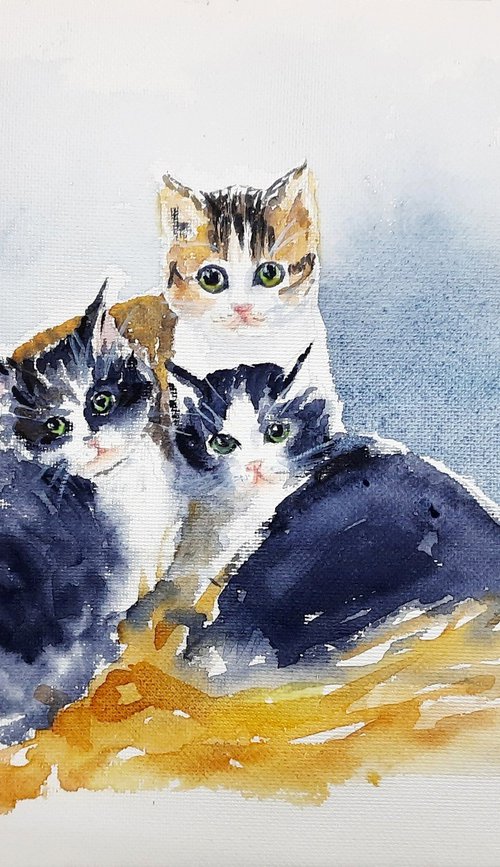 Three Little Kittens by Asha Shenoy