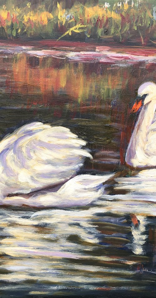 Swans by Elena Sokolova