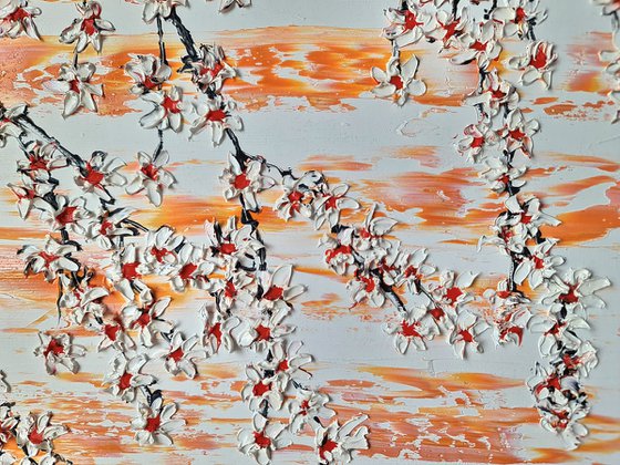 Cherries in the spring 3