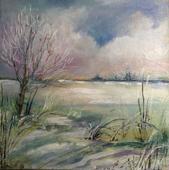 Rowan in winter - Northumbrian skies