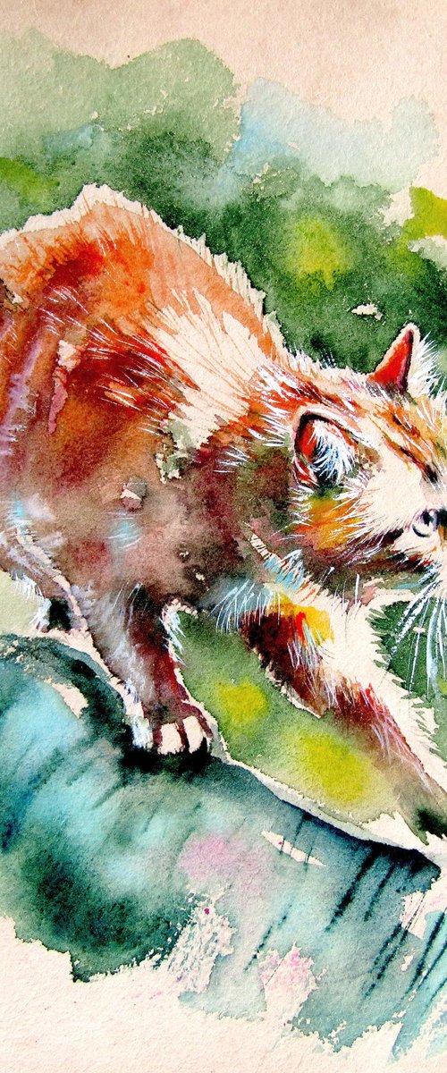 Hunting cat by Kovács Anna Brigitta
