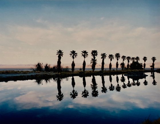 Zzyzx Resort Pool, Soda Dry Lake, California