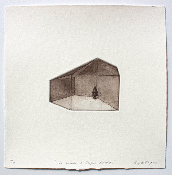THE MEMORY OF DOMESTIC SPACE